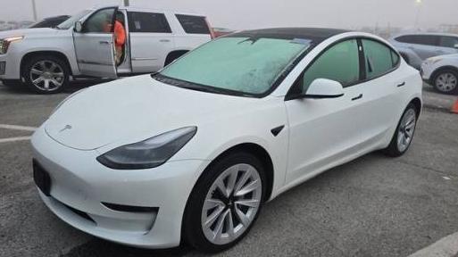 TESLA MODEL 3 2023 5YJ3E1EA9PF513510 image